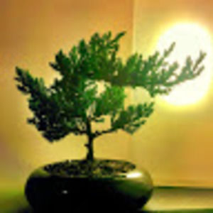 Meet your Posher, Kulbir